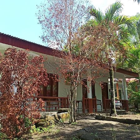 Rinondoran Tangkoko Jungle Homestay מראה חיצוני תמונה