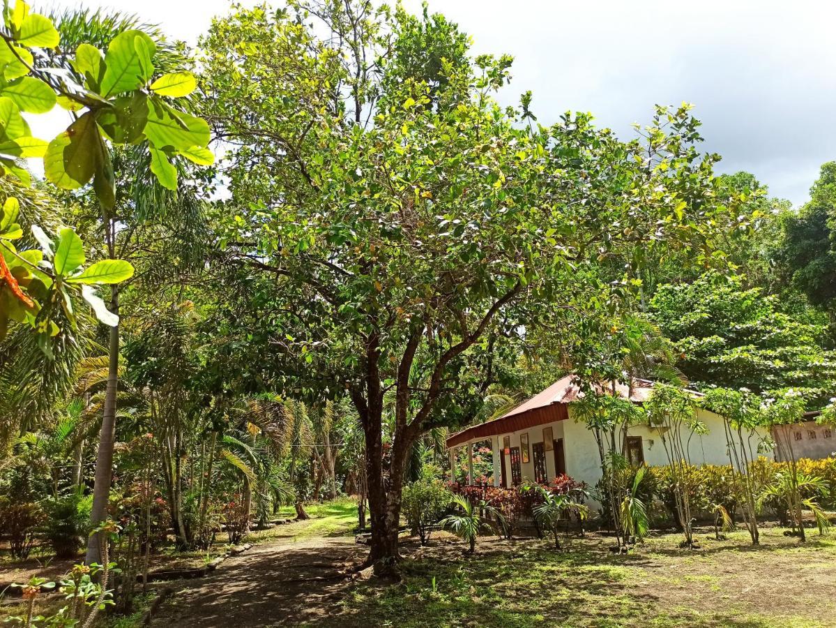 Rinondoran Tangkoko Jungle Homestay מראה חיצוני תמונה