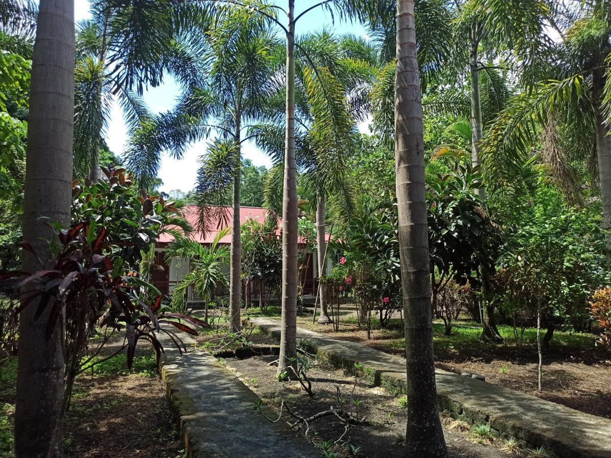 Rinondoran Tangkoko Jungle Homestay מראה חיצוני תמונה